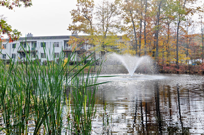 Sutton Woods Condos, Chatham NJ home sales